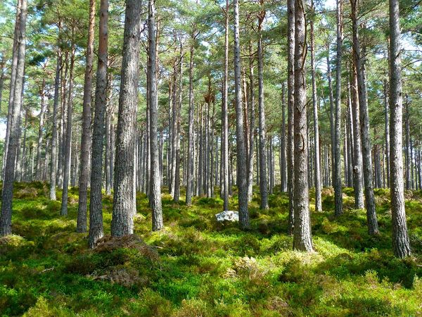 Top 5 mazurskich ofert na komfortowe trzyosobowe pokoje